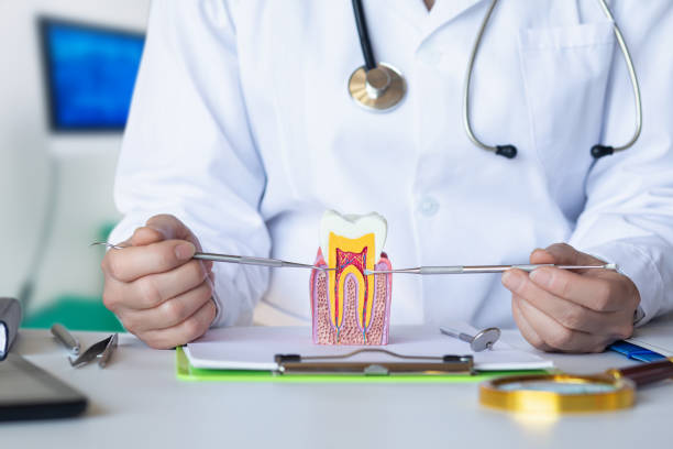 Best Pediatric Emergency Dentist in Ucon, ID